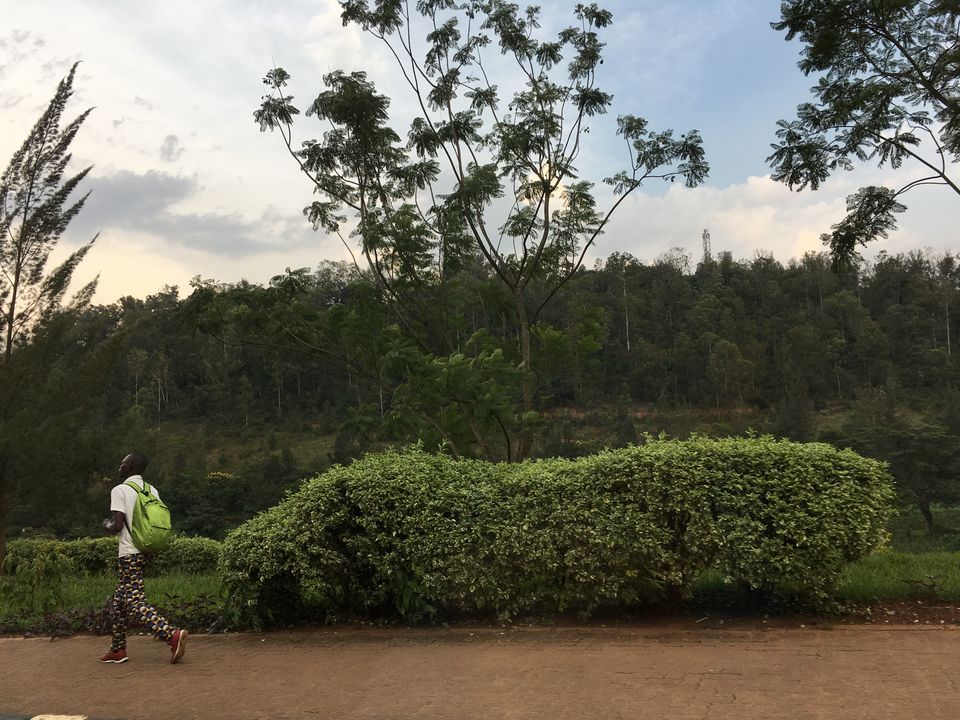 Photo of African paradise 2/3 by Lena Salenik