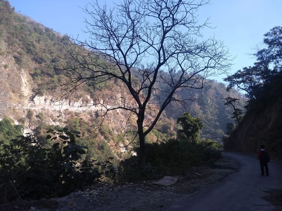 Photo of The Reluctant 'Traveler' 4/6 by Rupsha Mukherjee