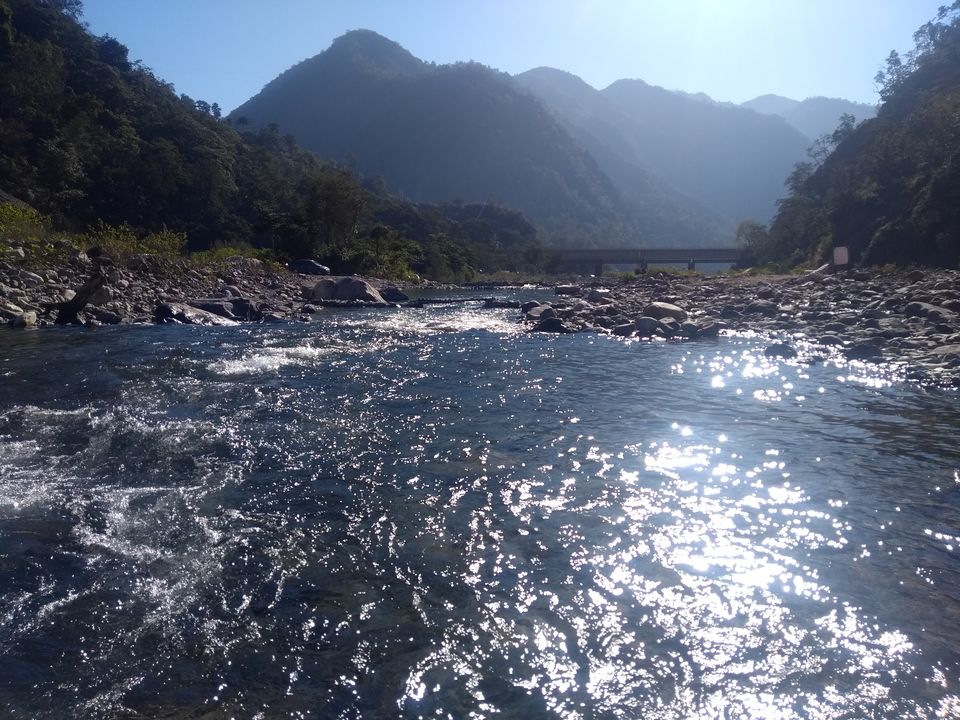 Photo of The Reluctant 'Traveler' 5/6 by Rupsha Mukherjee