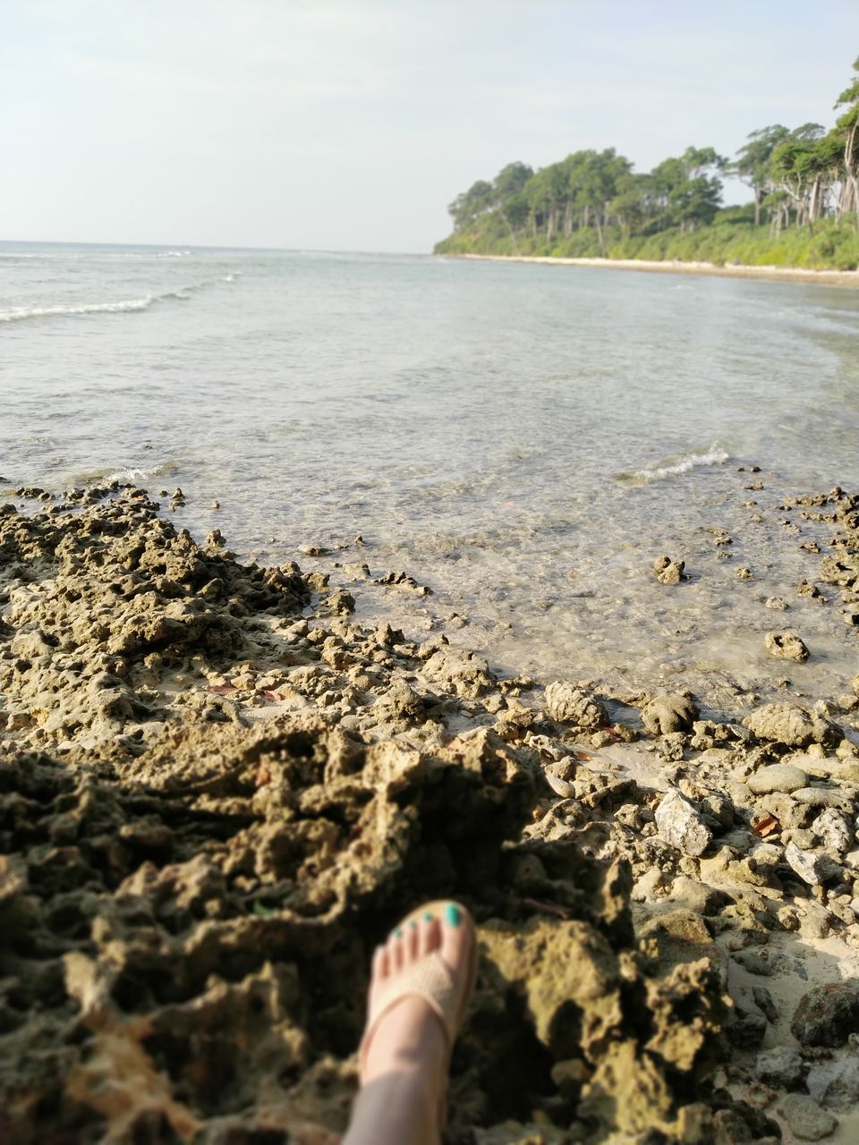 Photo of Havelock Island, Andaman and Nicobar Islands by Rupsha Mukherjee