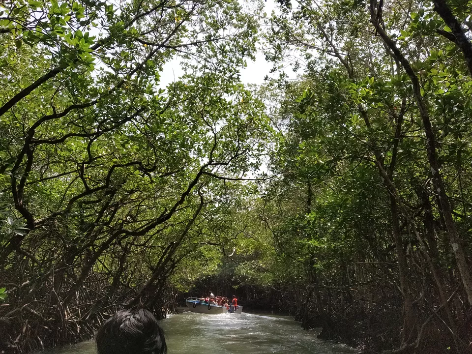 Photo of Port Blair, Andaman and Nicobar Islands, India by Rupsha Mukherjee