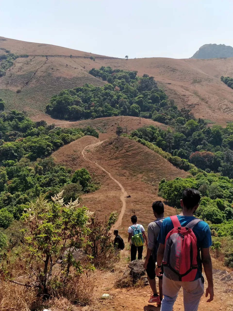 Photo of Kodachadri Hill, Valur, Karnataka by Saikat Deb