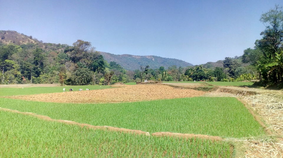 Photo of Kodachadri Hill, Valur, Karnataka by Saikat Deb