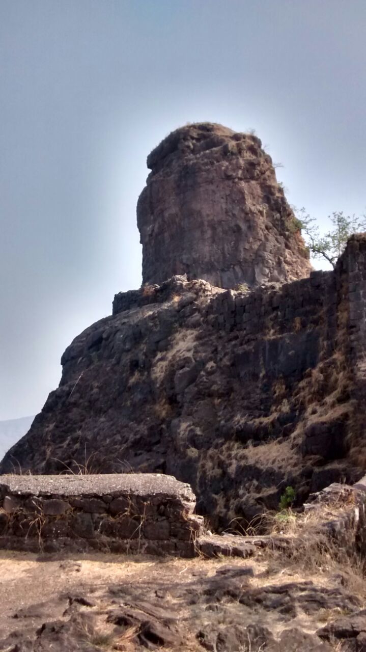 Photo of One day Trip to Karnala Bird Sanctuary 4/4 by Lakshman