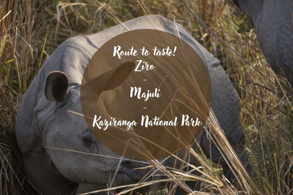 Photo of Route to taste | Ziro - Majuli - Kaziranga National Park by Vidyashree Wiz Sirius