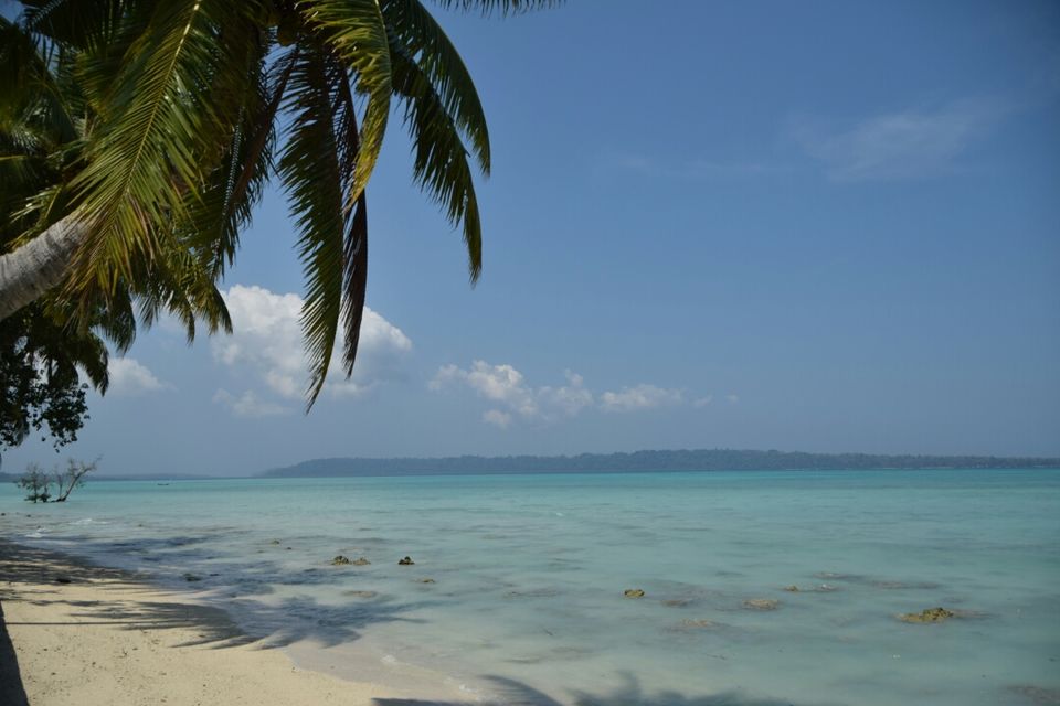 Photo of Havelock Island, South Andaman, Andaman and Nicobar Islands, India by Shweta Shah