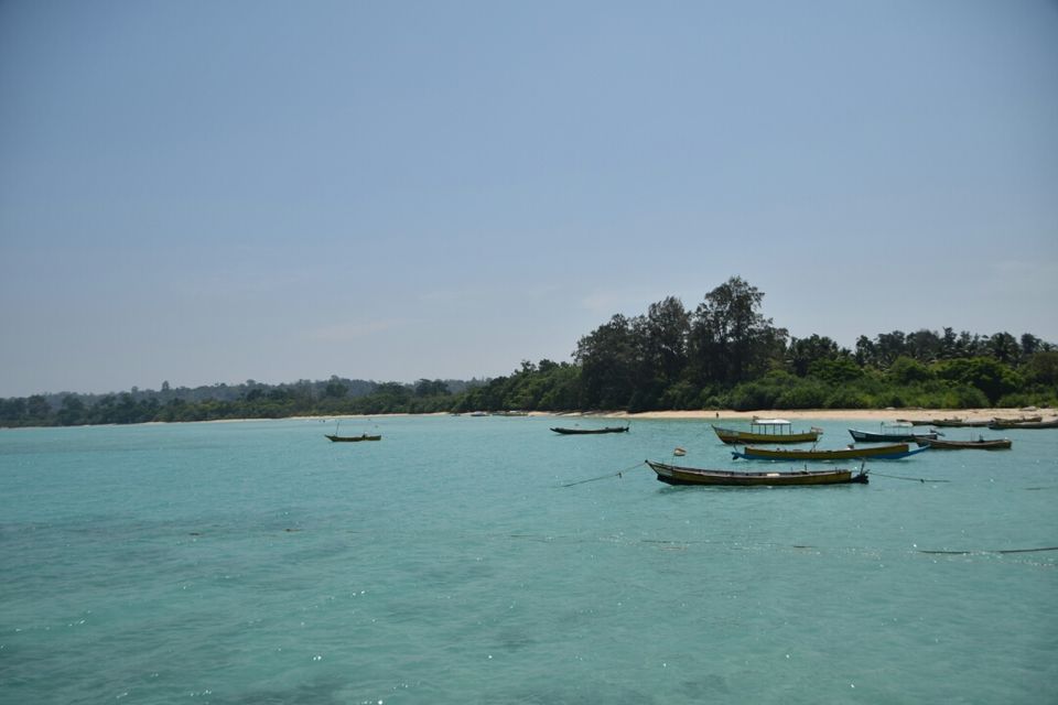 Photo of Neil Island, South Andaman, Andaman and Nicobar Islands, India by Shweta Shah