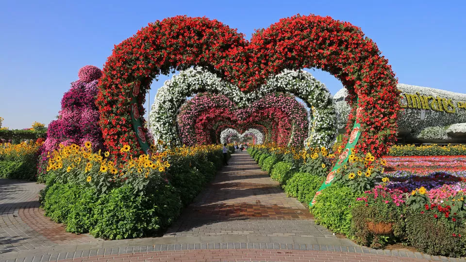 Photo of Dubai Miracle Garden - Dubai - United Arab Emirates by Bandita Das