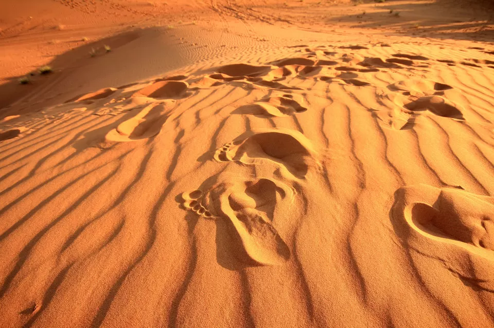 Photo of Desert Safari Dubai - Dubai - United Arab Emirates by Bandita Das