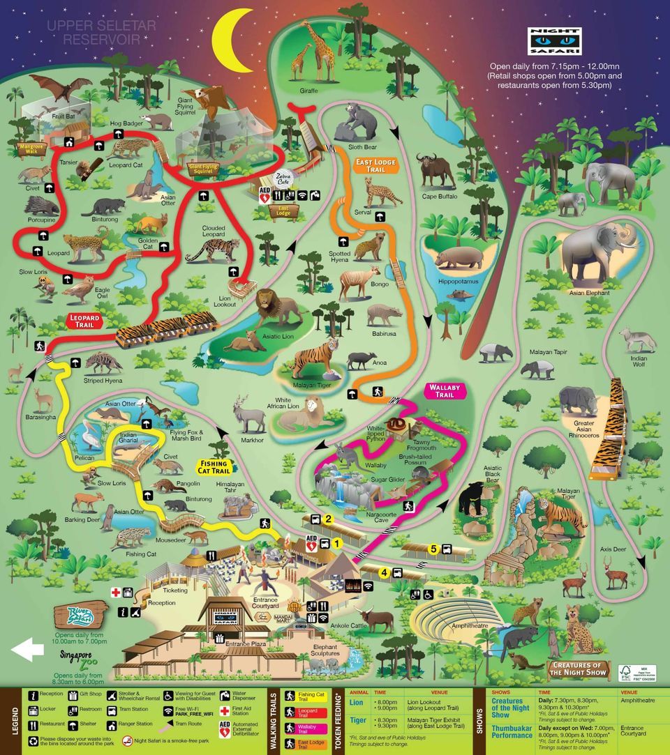 Photo of All You Need To Know About The Night Safari In Singapore by Richa Devi