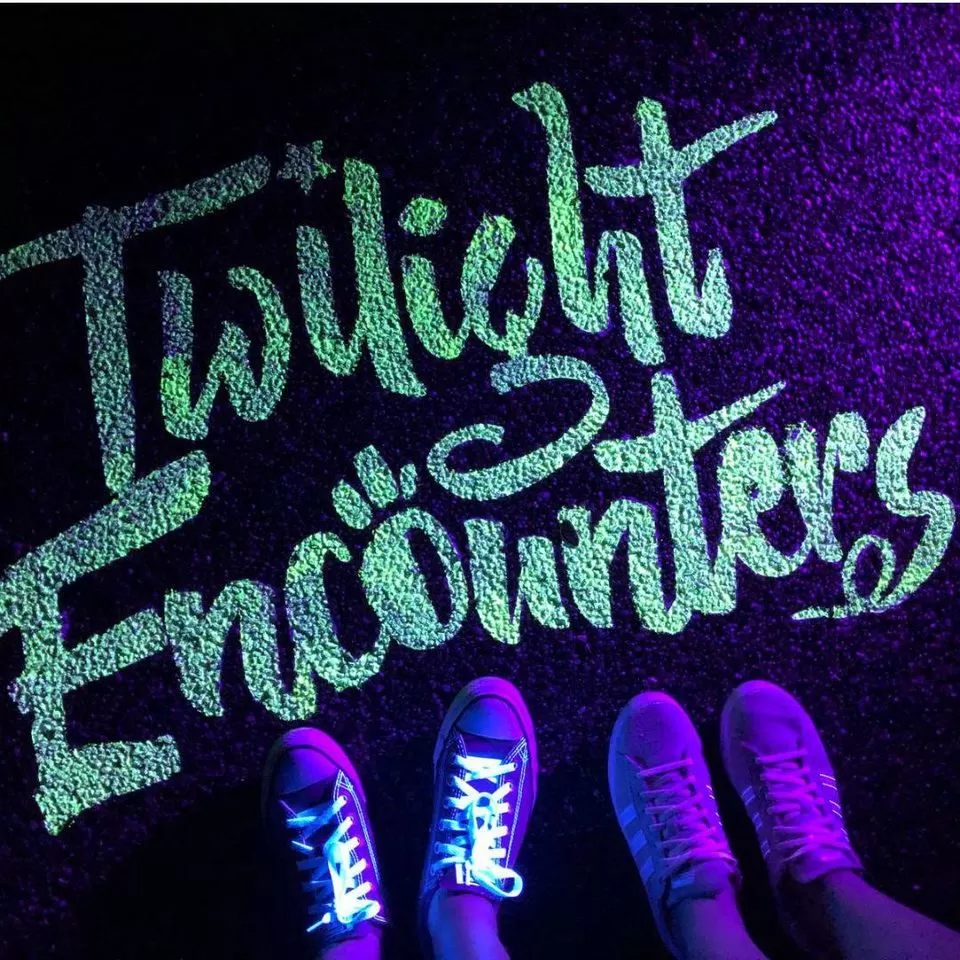 Photo of All You Need To Know About The Night Safari In Singapore by Richa Devi