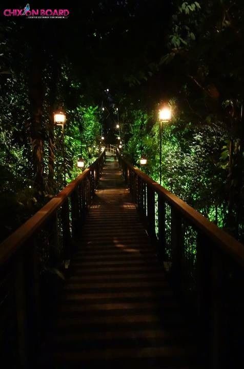 Photo of 10 Must Visits in Singapore by chix on board