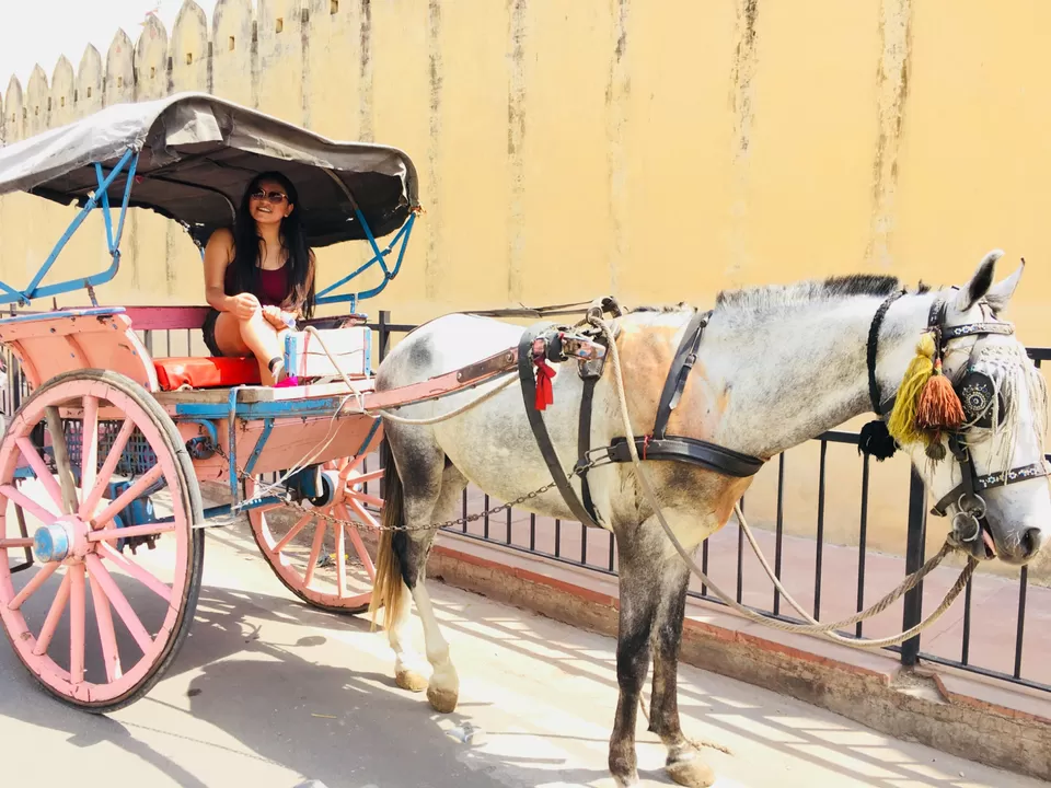 Photo of Jaipur by Urgan spaldon