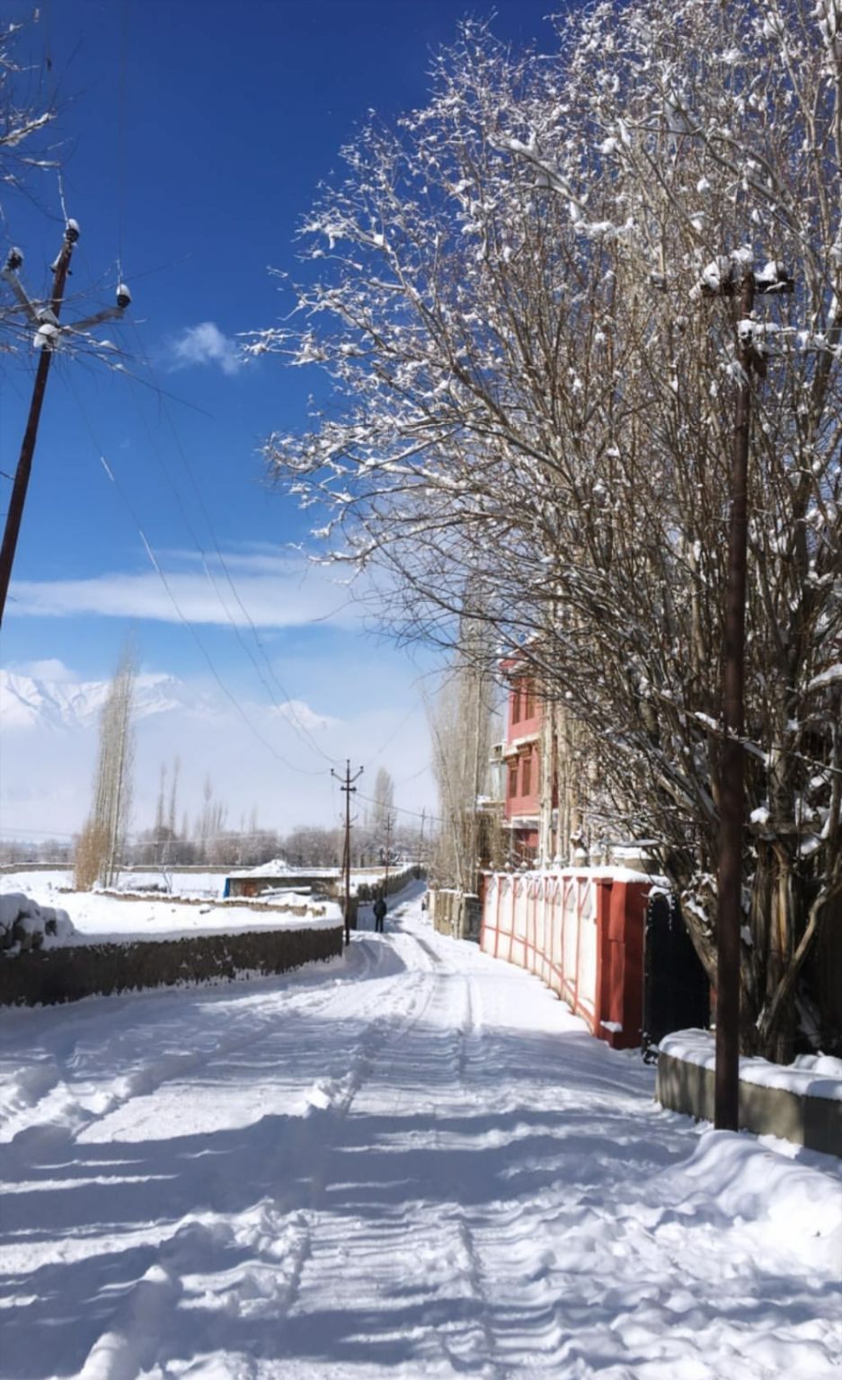 Photo of The lifestyle of People in LADAKH : How to survive in Cold Winters . by Urgan spaldon