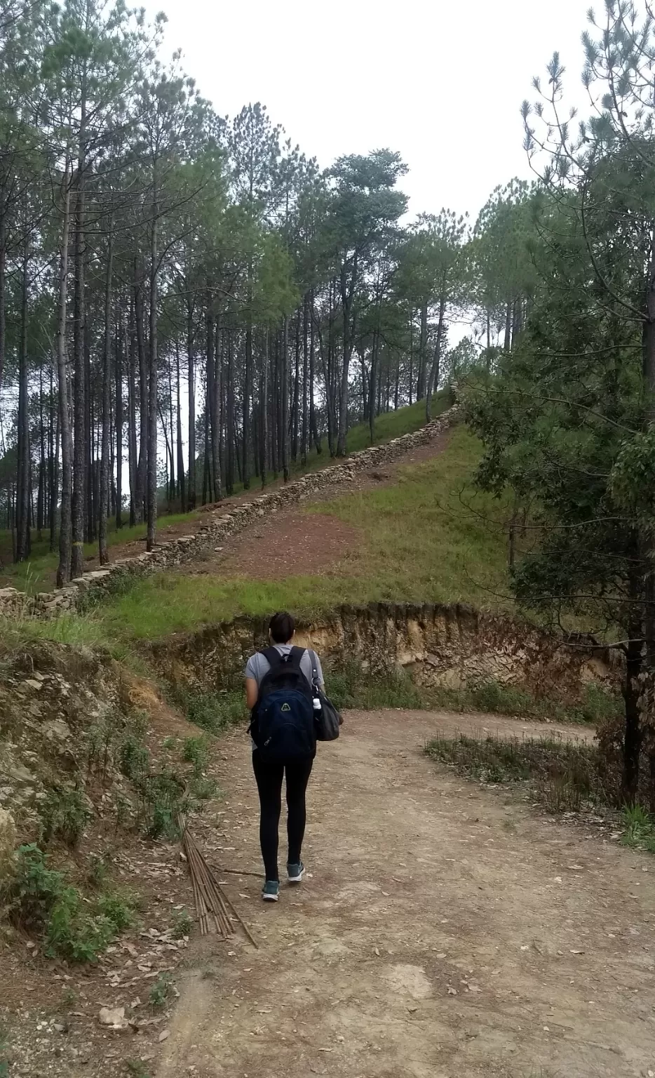 Photo of Exploring Dhampur (UP) and Almora( UK) by Urgan spaldon