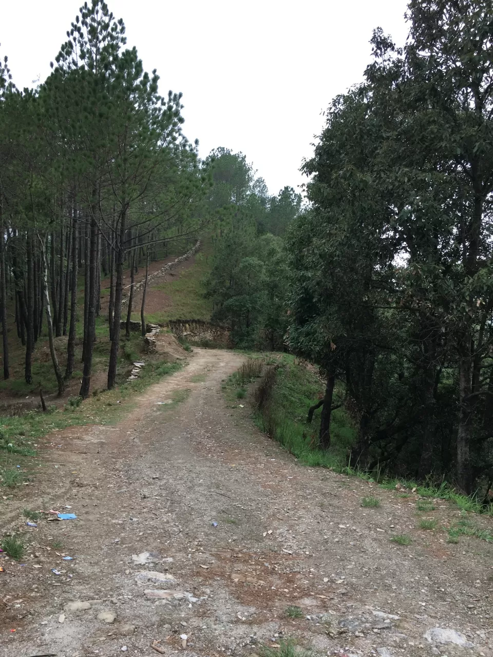 Photo of Exploring Dhampur (UP) and Almora( UK) by Urgan spaldon