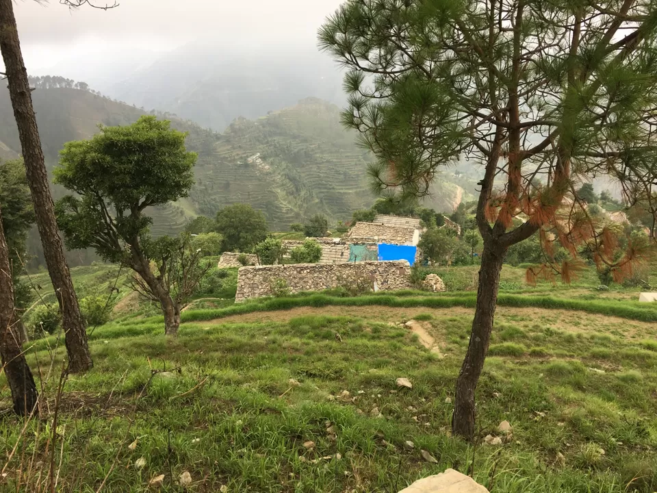Photo of Exploring Dhampur (UP) and Almora( UK) by Urgan spaldon