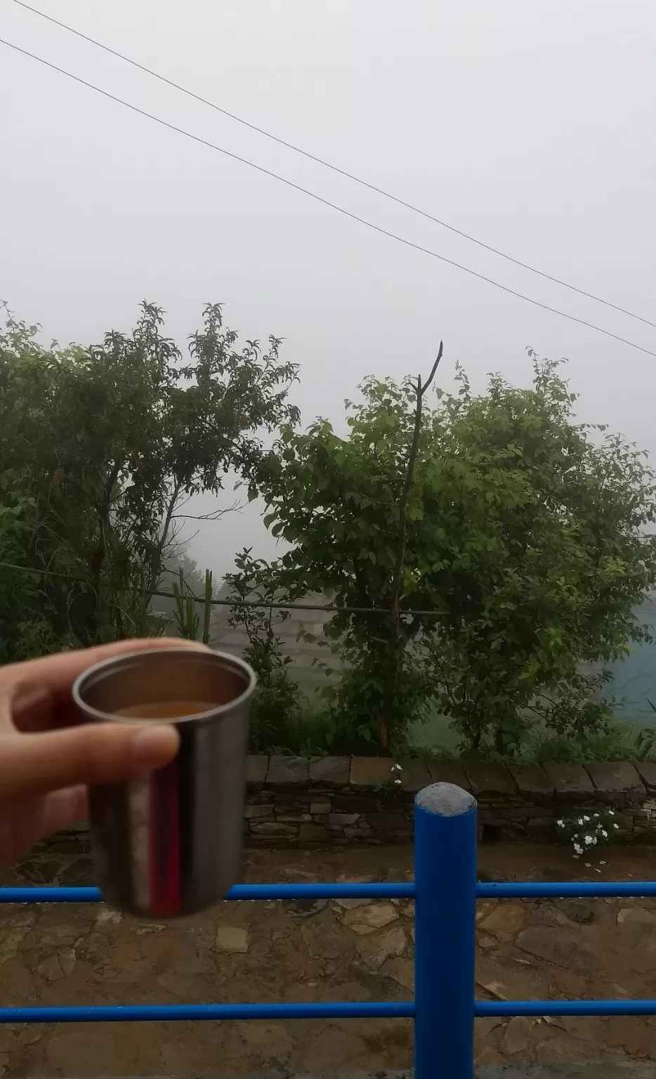Photo of Exploring Dhampur (UP) and Almora( UK) by Urgan spaldon
