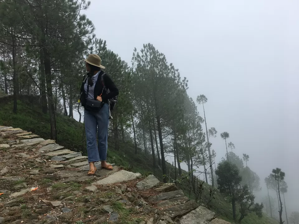 Photo of Exploring Dhampur (UP) and Almora( UK) by Urgan spaldon