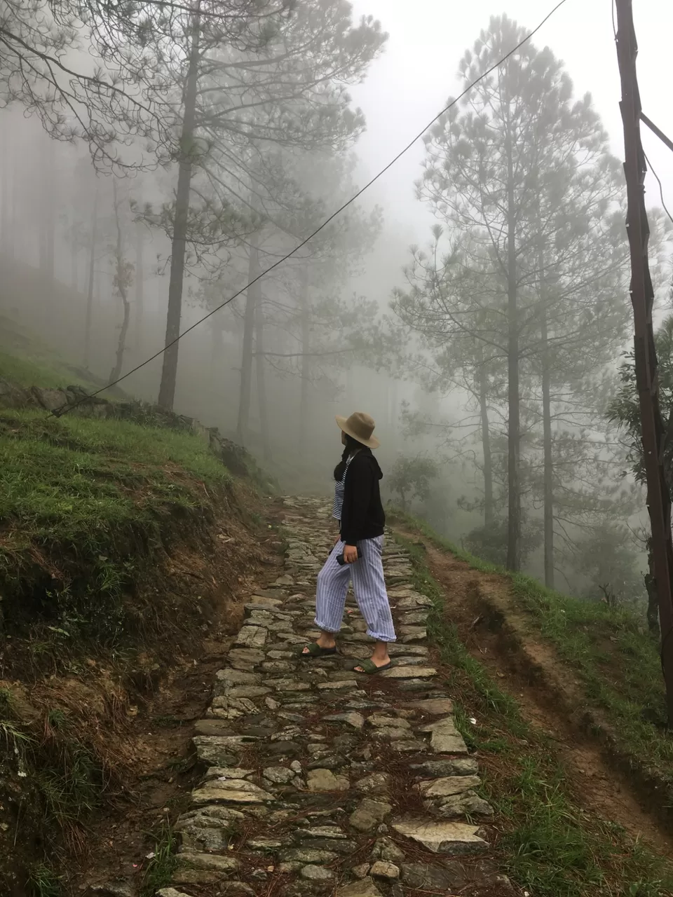 Photo of Exploring Dhampur (UP) and Almora( UK) by Urgan spaldon