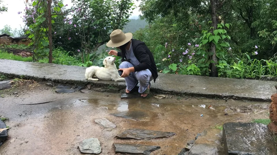 Photo of Exploring Dhampur (UP) and Almora( UK) by Urgan spaldon