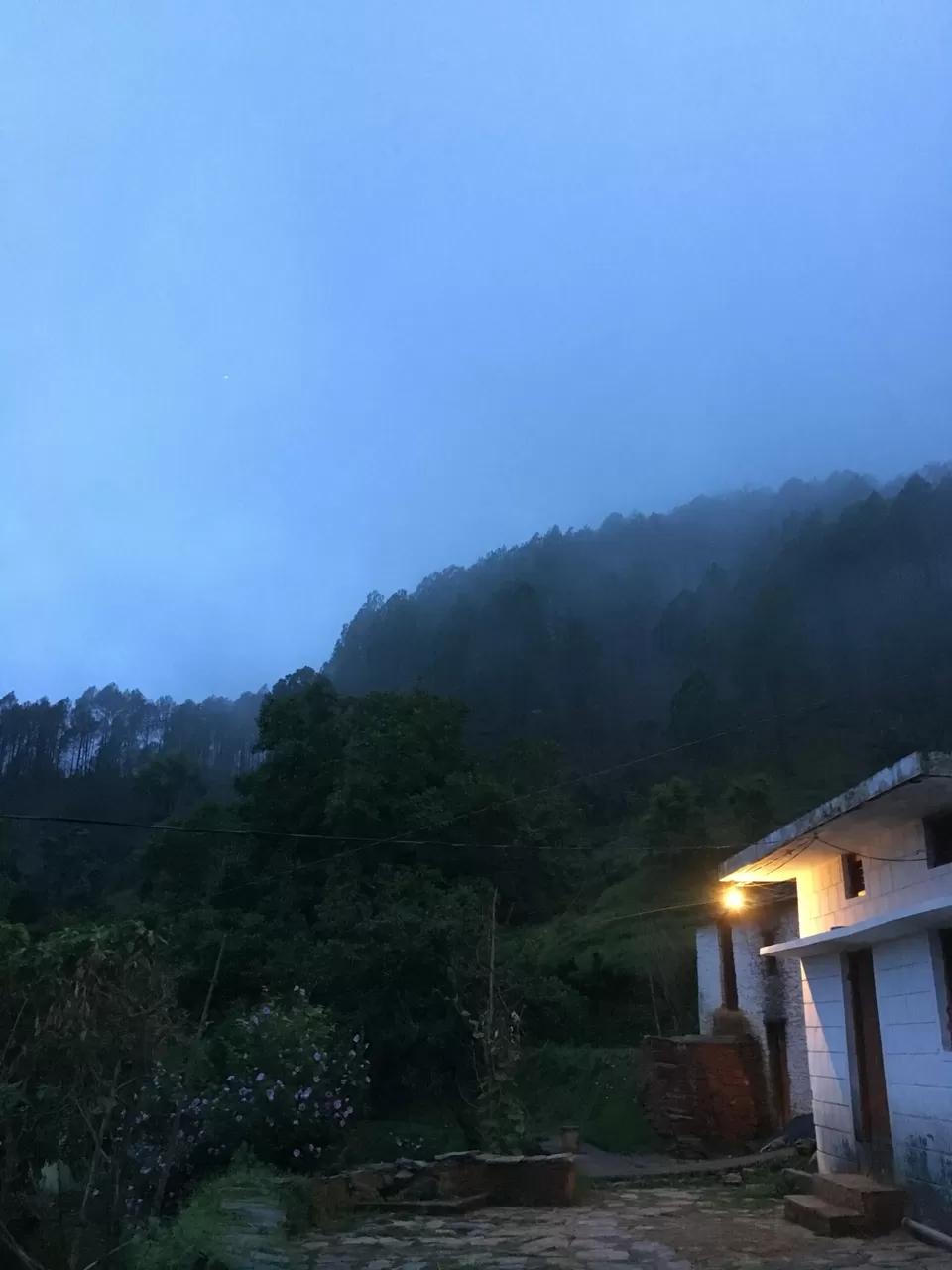 Photo of Exploring Dhampur (UP) and Almora( UK) by Urgan spaldon