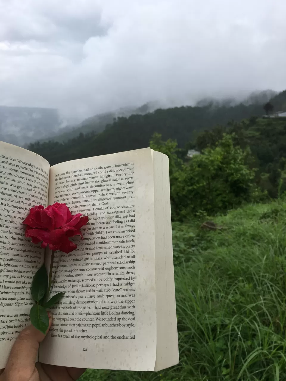 Photo of Exploring Dhampur (UP) and Almora( UK) by Urgan spaldon