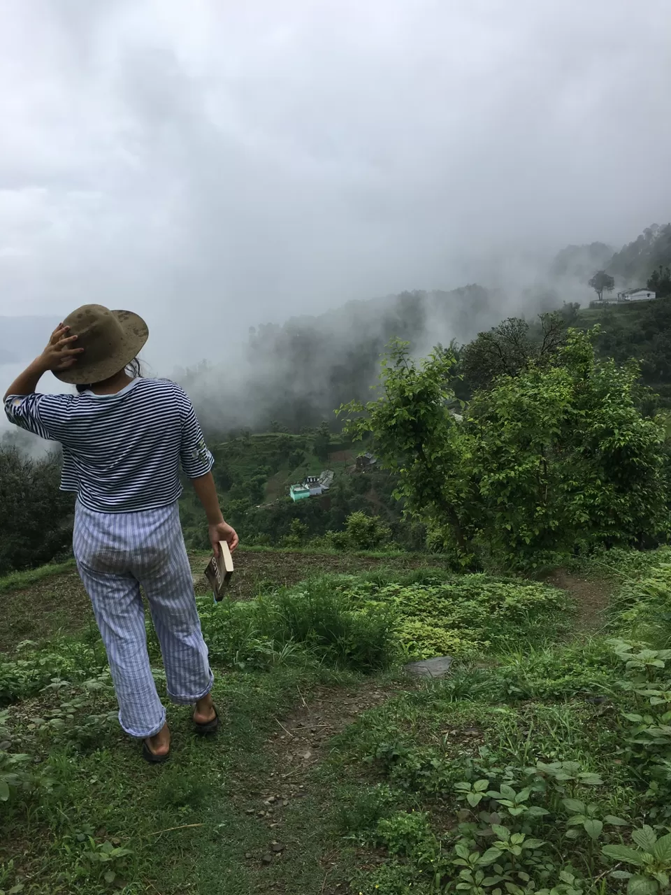 Photo of Exploring Dhampur (UP) and Almora( UK) by Urgan spaldon