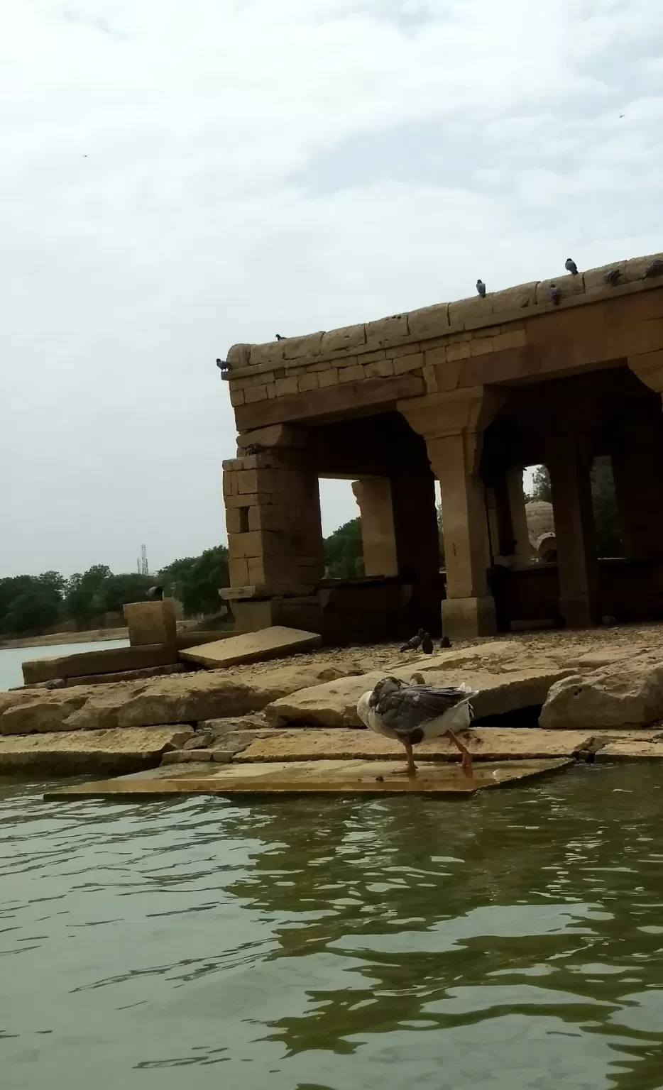 Photo of Gadisar Lake, Postal Colony, Jaisalmer, Rajasthan by Urgan spaldon
