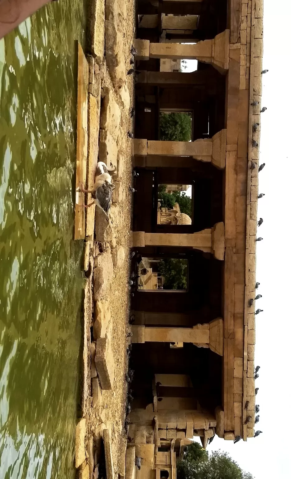 Photo of Gadisar Lake, Postal Colony, Jaisalmer, Rajasthan by Urgan spaldon