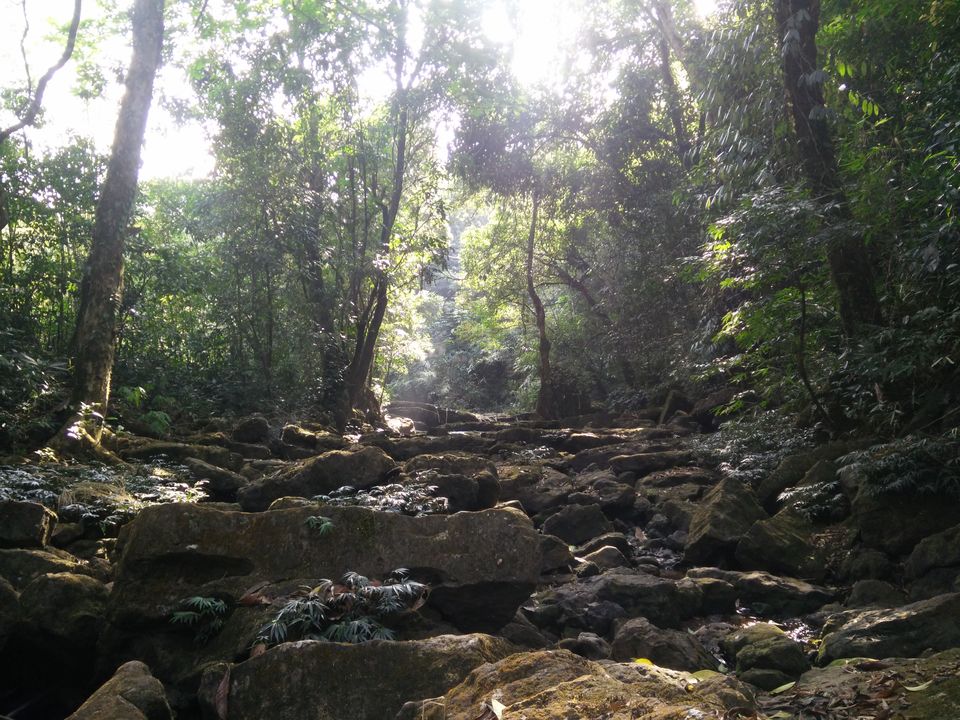 Photo of Mawlynnong, Meghalaya 10/11 by Kunal