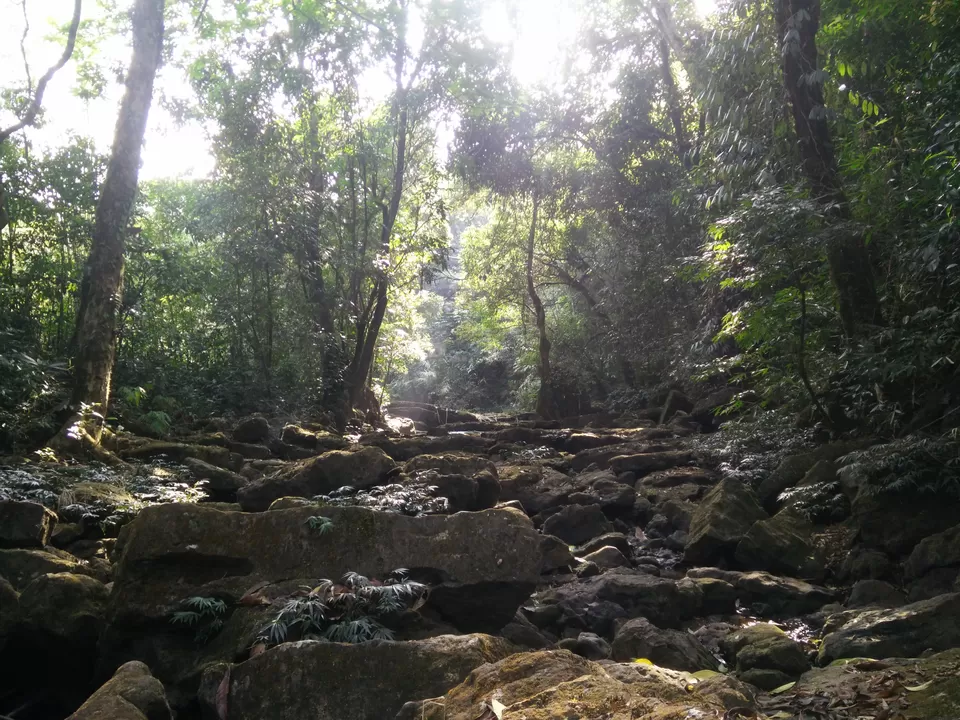 Photo of Mawlynnong, Meghalaya, India by Kunal