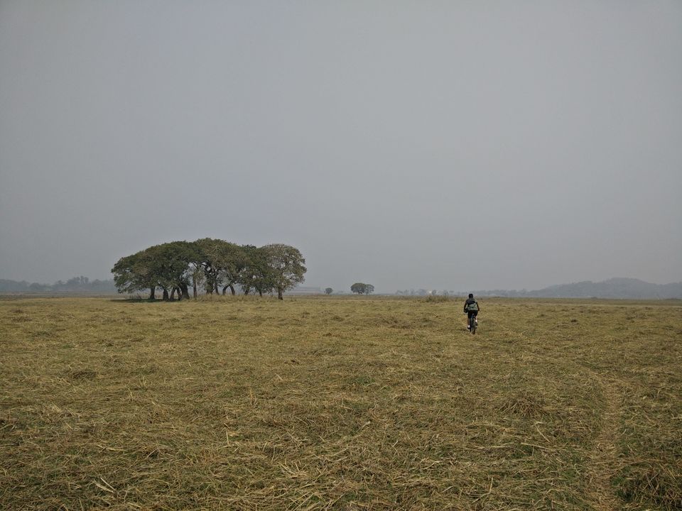 Photo of Sualkuchi, Assam 2/5 by Kunal