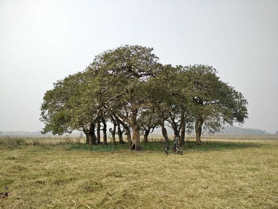 Photo of Sualkuchi, Assam 3/5 by Kunal