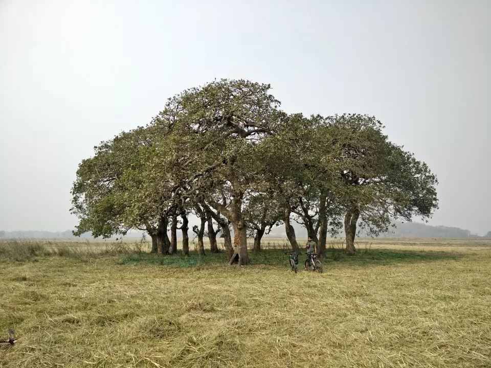 Photo of Digholi Bill, Kamrup, Assam, India by Kunal