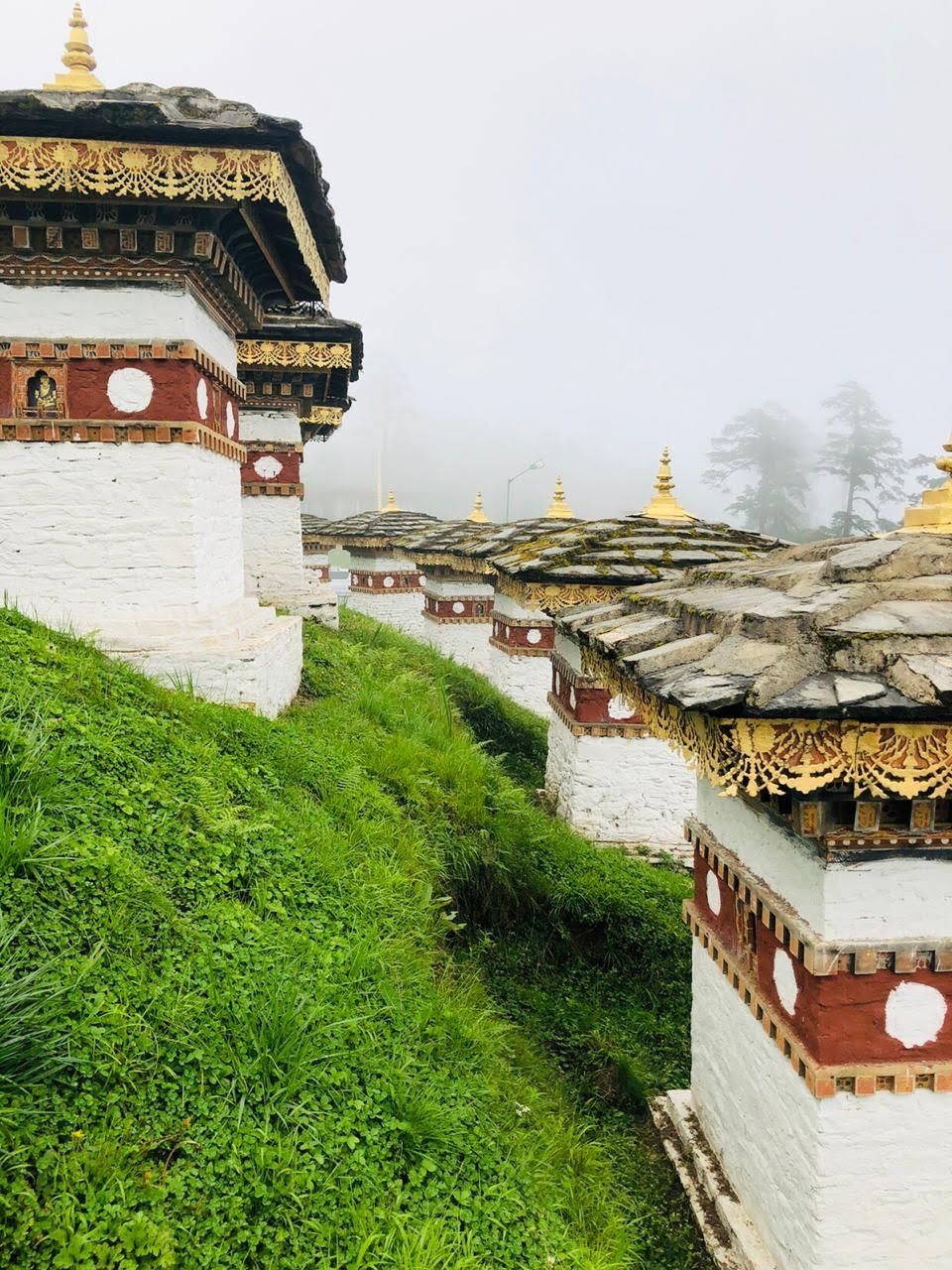 Photo of 6 Day Road-Trip in Bhutan - The Land of Thunder Dragon by Suraj Pisharody