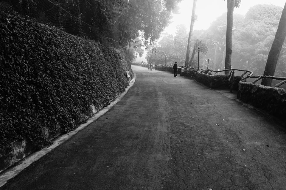 Photo of Nestled in the mountains: Darjeeling 5/11 by Debasish Mishra