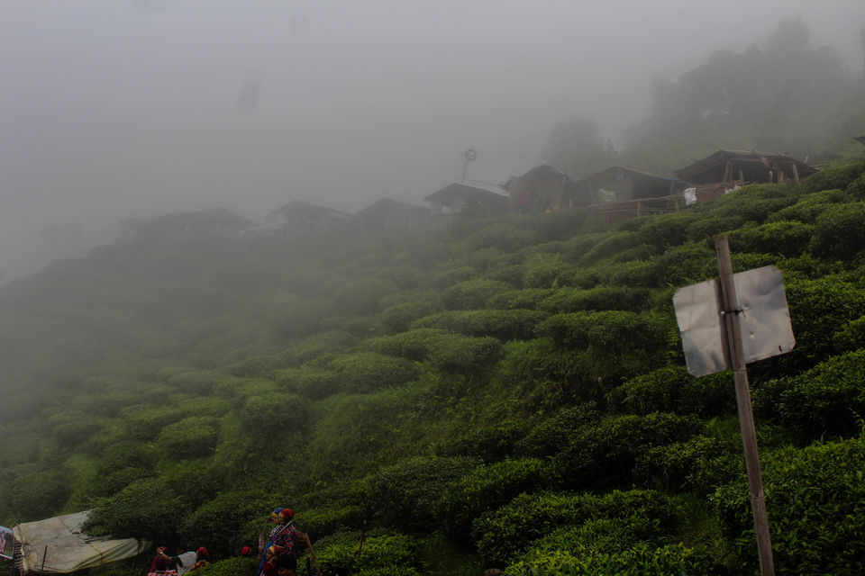 Photo of Nestled in the mountains: Darjeeling 6/11 by Debasish Mishra