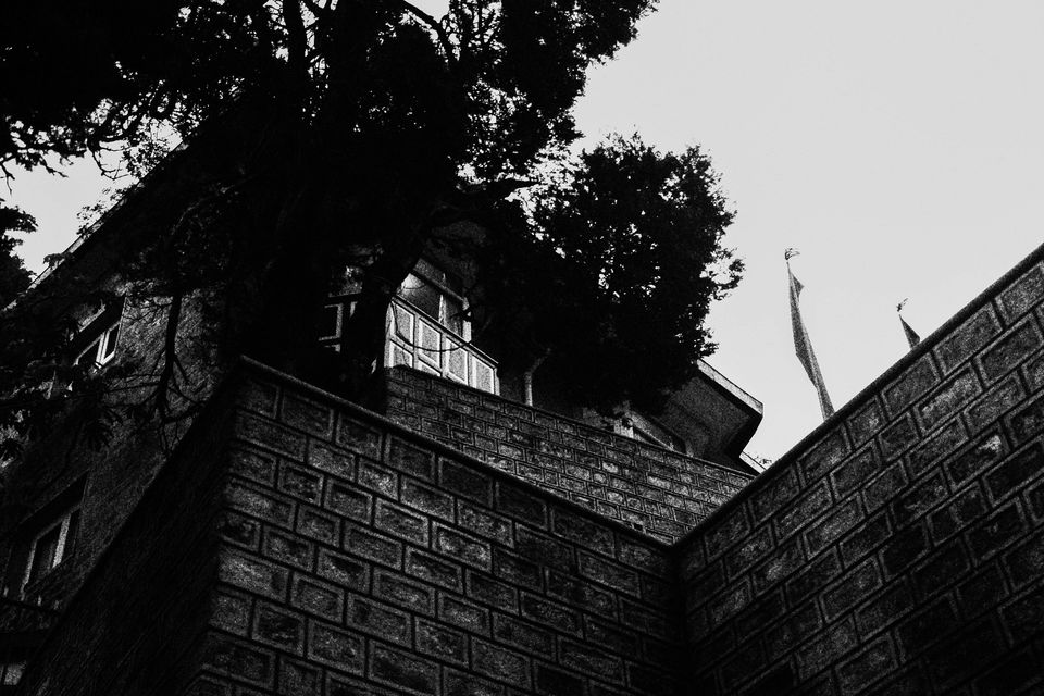 Photo of Nestled in the mountains: Darjeeling 7/11 by Debasish Mishra