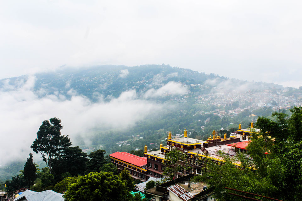 Photo of Untouched and Secluded: Kalimpong and Lava 8/11 by Debasish Mishra