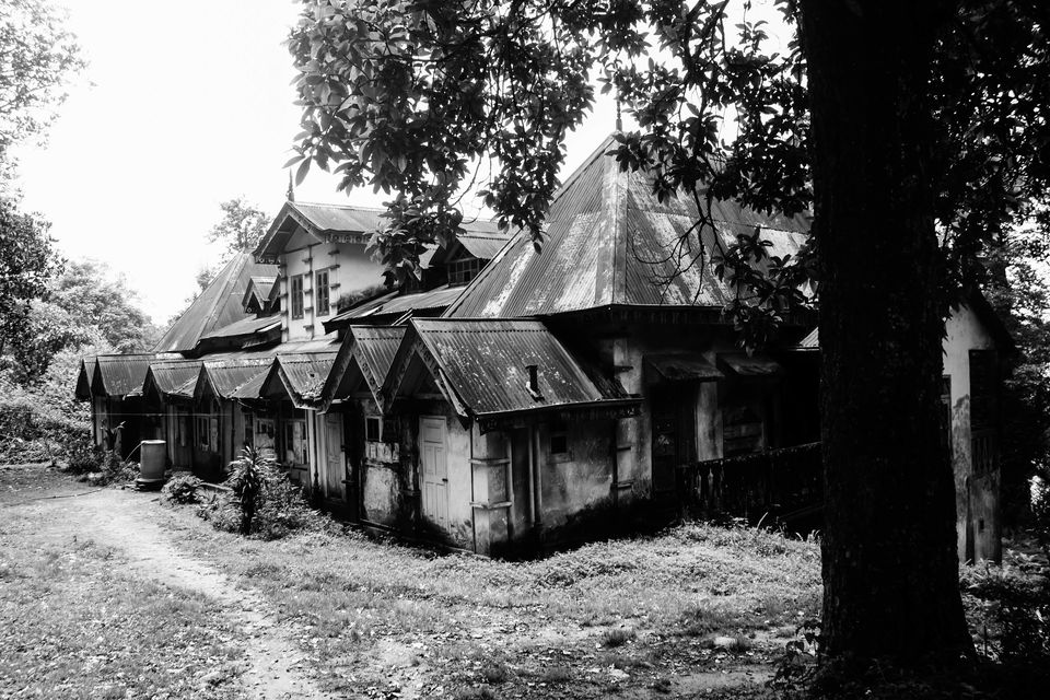 Photo of Untouched and Secluded: Kalimpong and Lava 9/11 by Debasish Mishra
