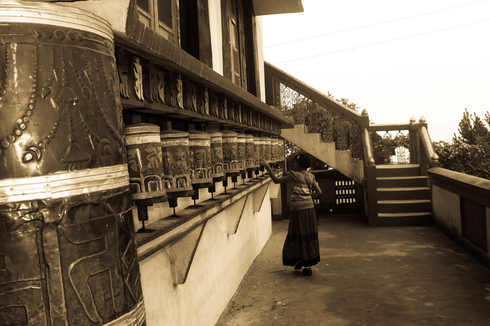 Photo of Untouched and Secluded: Kalimpong and Lava 11/11 by Debasish Mishra