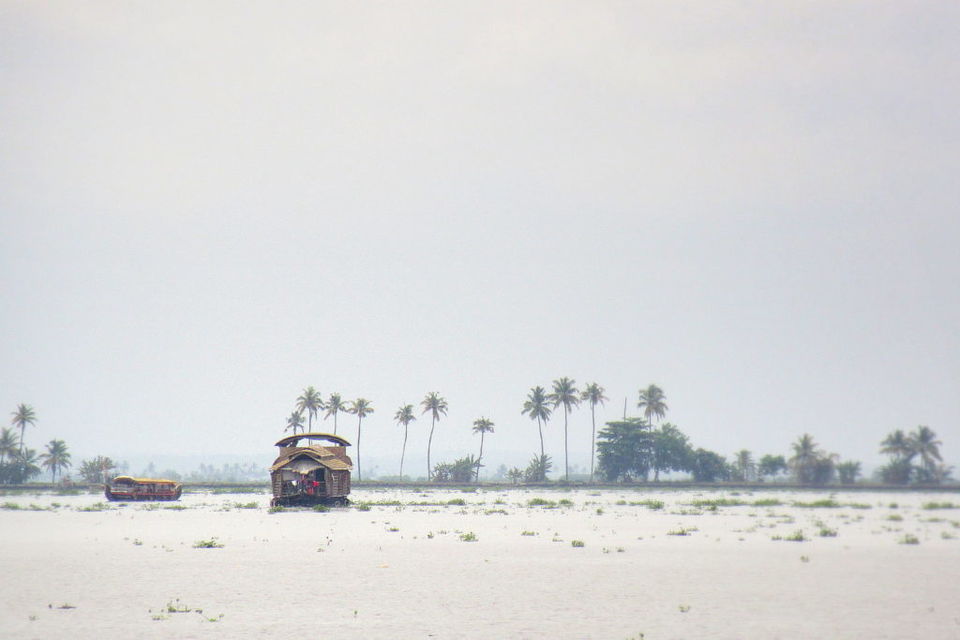 Photo of BACKWATERS OF ALLEPPEY - A CRUISE 1/5 by Memory carver