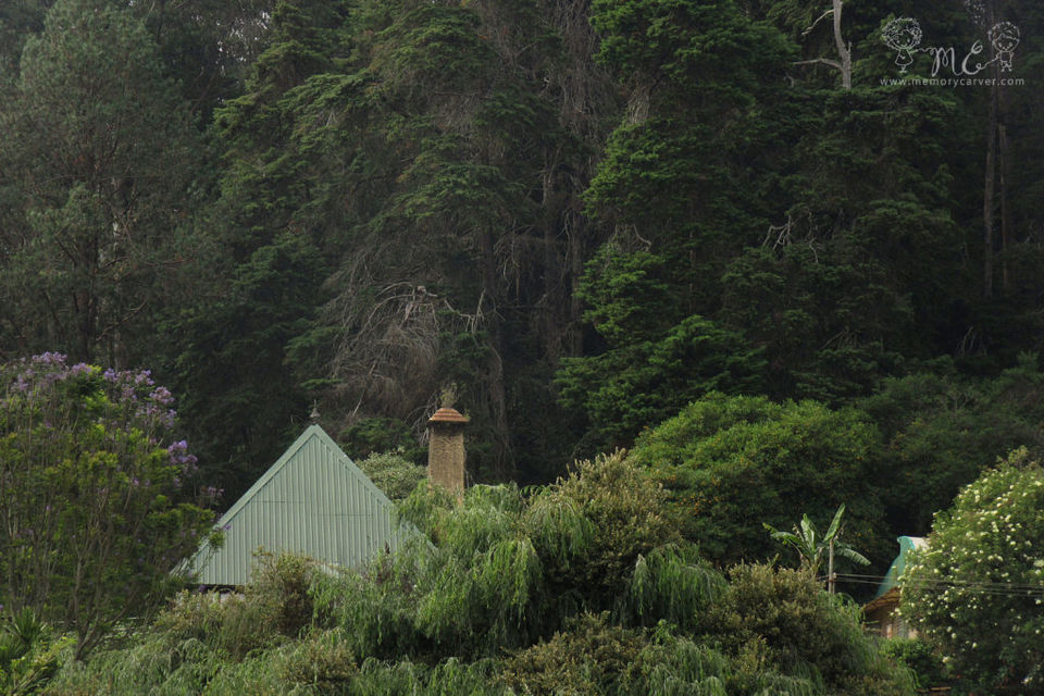 Photo of 9 Things to do in Ooty 4/6 by Memory carver