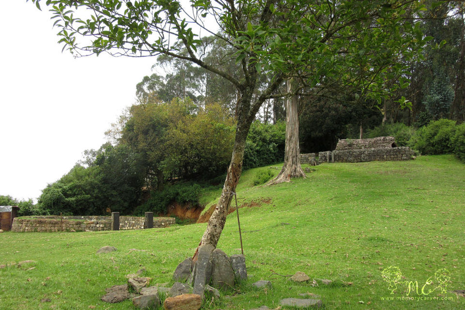 Photo of 9 Things to do in Ooty 5/6 by Memory carver