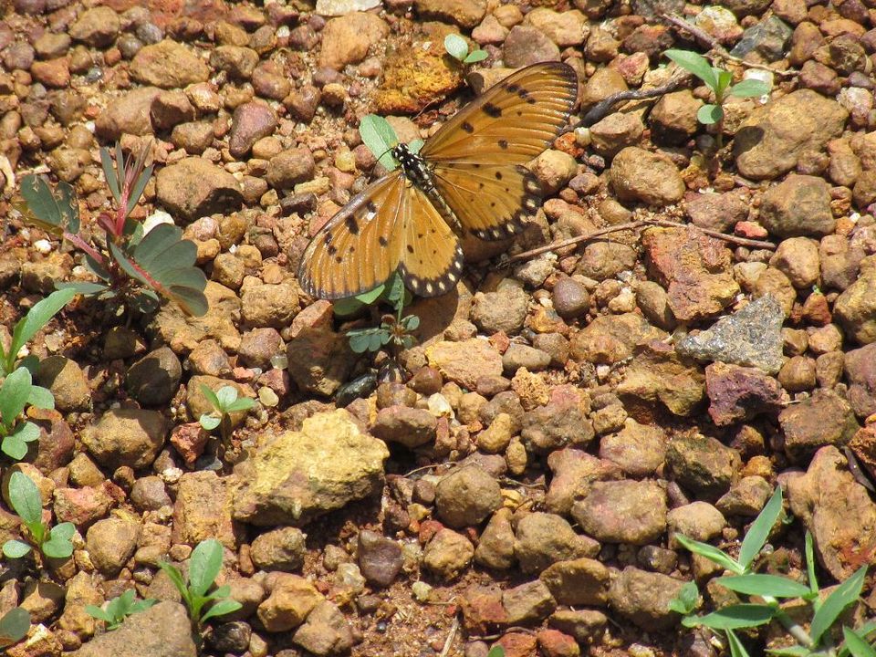 Photo of EXPLORING HILL PALACE AT MY OWN PACE 6/7 by Memory carver