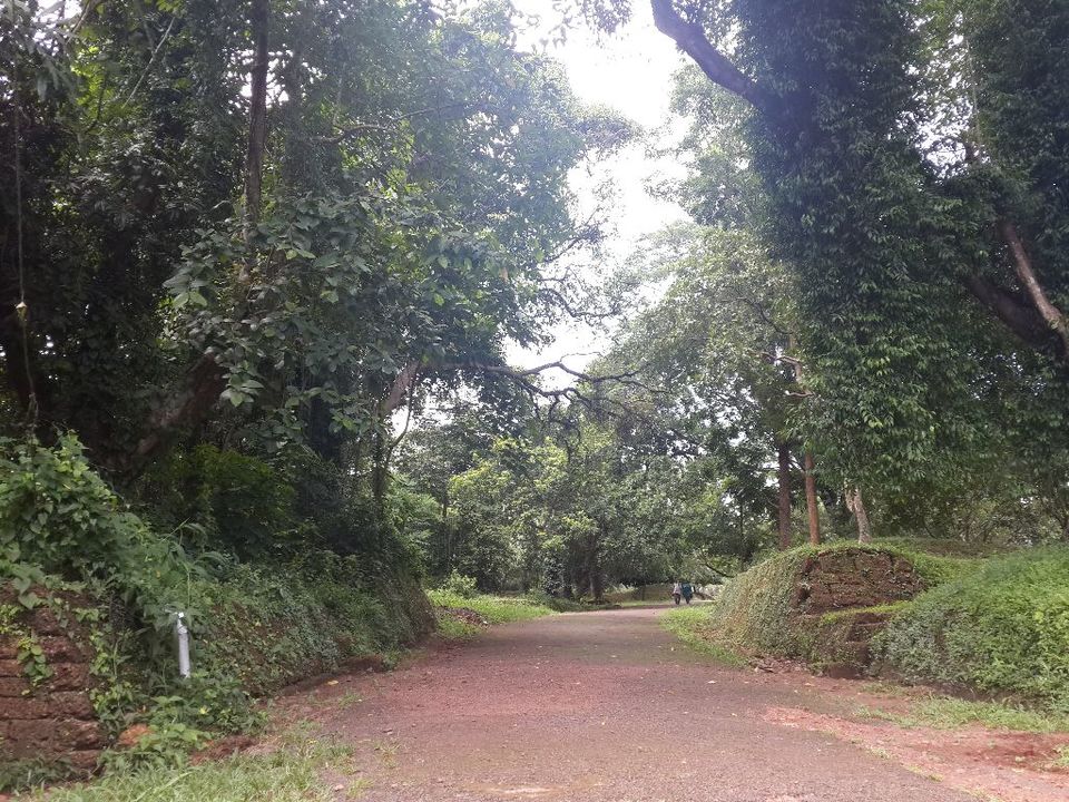 Photo of EXPLORING HILL PALACE AT MY OWN PACE 7/7 by Memory carver