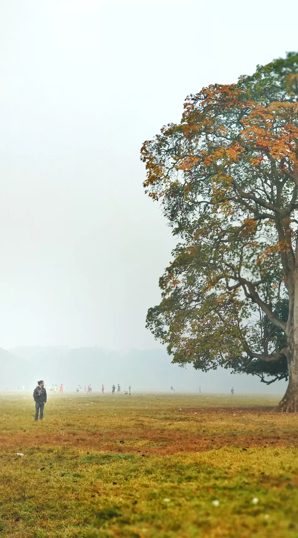 Photo of Maidan, Kolkata, West Bengal, India by Ankur Dey