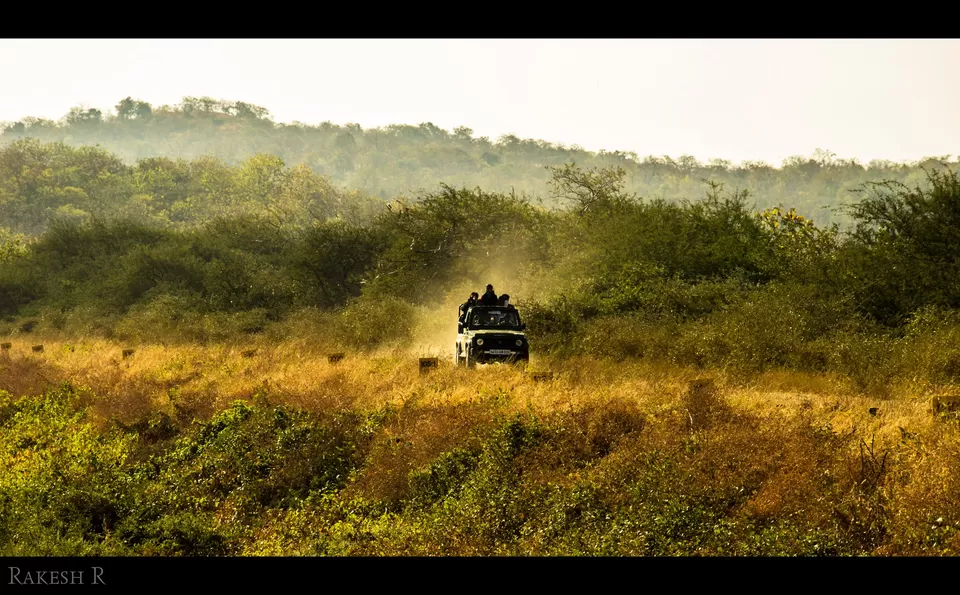 Photo of Sasan Gir, Gujarat, India by Rakesh Rajan