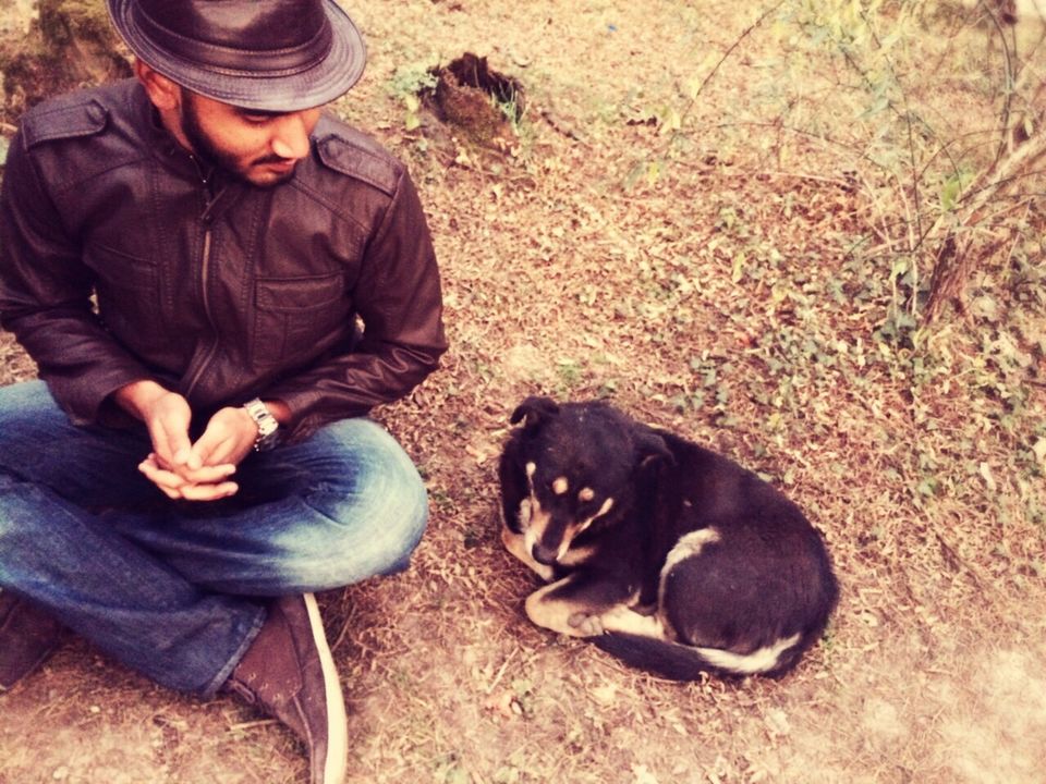 Photo of Dining with the moon and stars| Manali and Kasol 2/12 by Aditya Chhaparwal